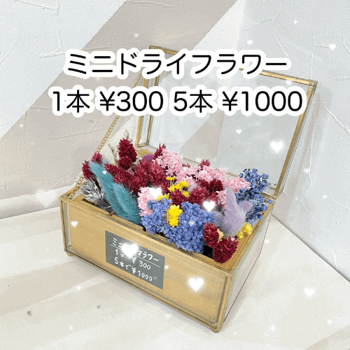 1本¥300 5本¥1,000